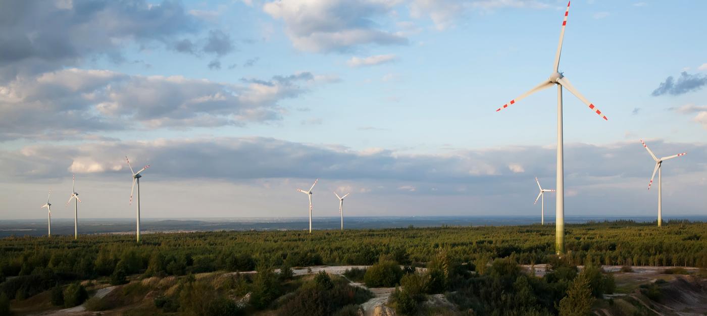 field, wind turbines